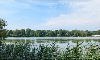 Menschenrettung Hohnsensee